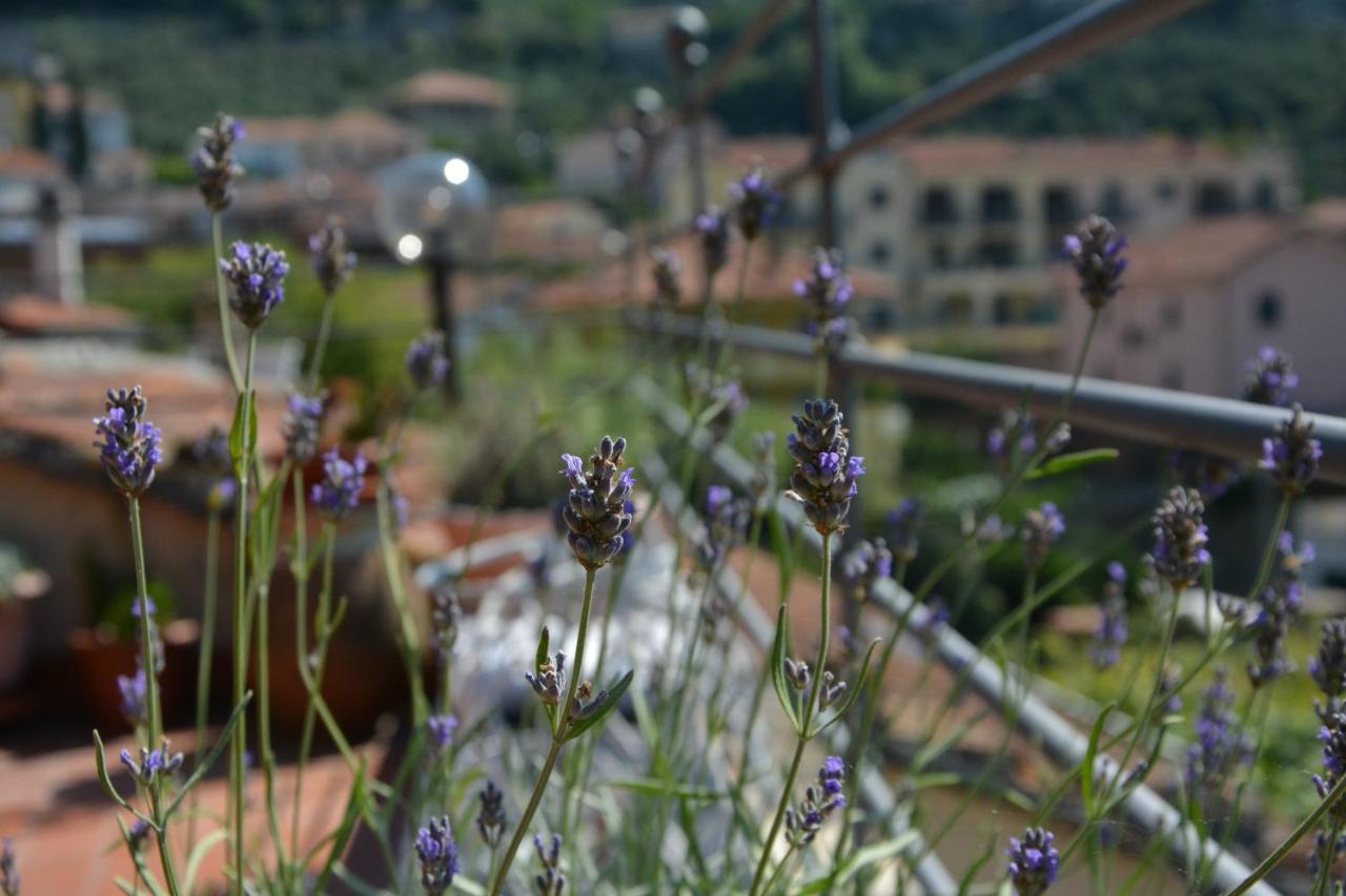 La Casa Di Giobatta Bed & Breakfast Tovo San Giacomo Dış mekan fotoğraf