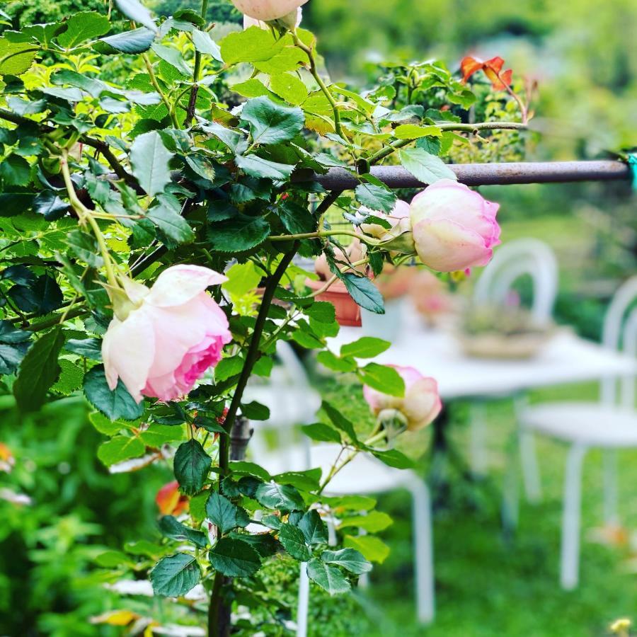 La Casa Di Giobatta Bed & Breakfast Tovo San Giacomo Dış mekan fotoğraf