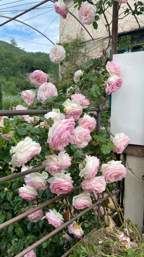 La Casa Di Giobatta Bed & Breakfast Tovo San Giacomo Dış mekan fotoğraf